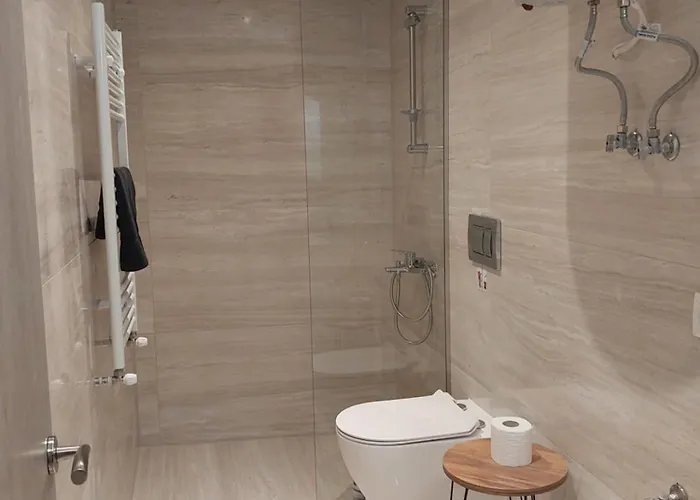 Anibo & Paparigopoulou *